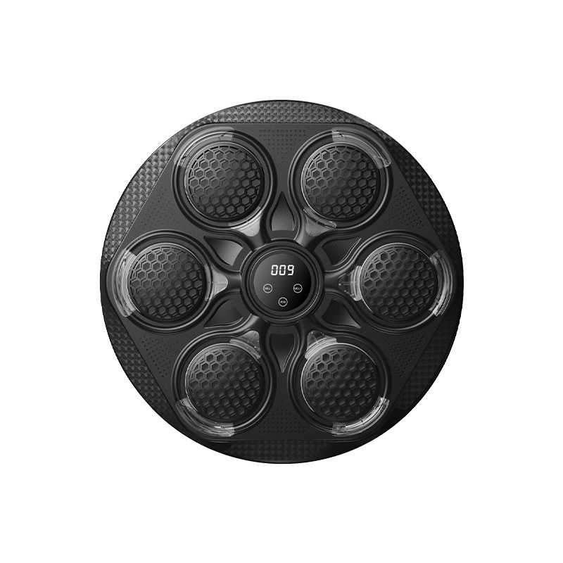 2026 Fitness Home Boxing Targe - Smart Home Trainer review and price