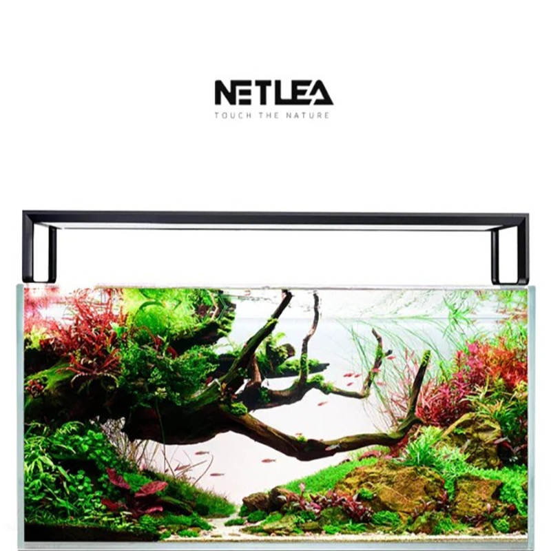 Netlea AT5S V3 Smart Wifi APP  - Wifi Led Dimmer review and price