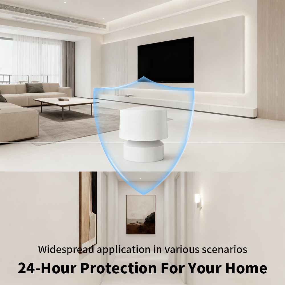 Zigbee or WiFi Smart Human Pre - Smart Home Retrofit review and price