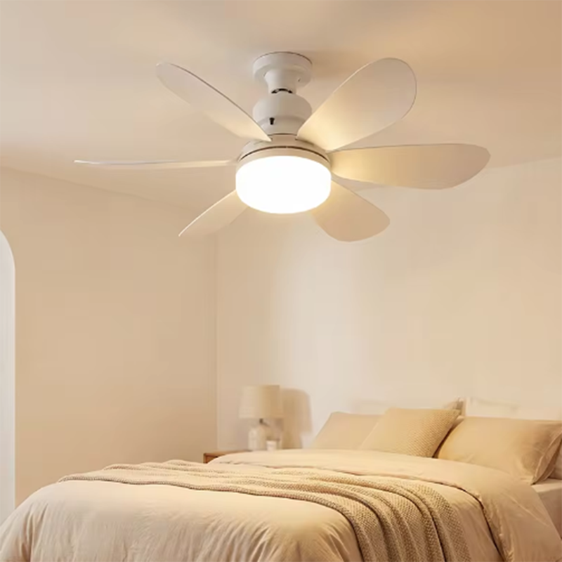 2026 Home E27 LED Ceiling Fan  - Smart Home Ventilation review and price