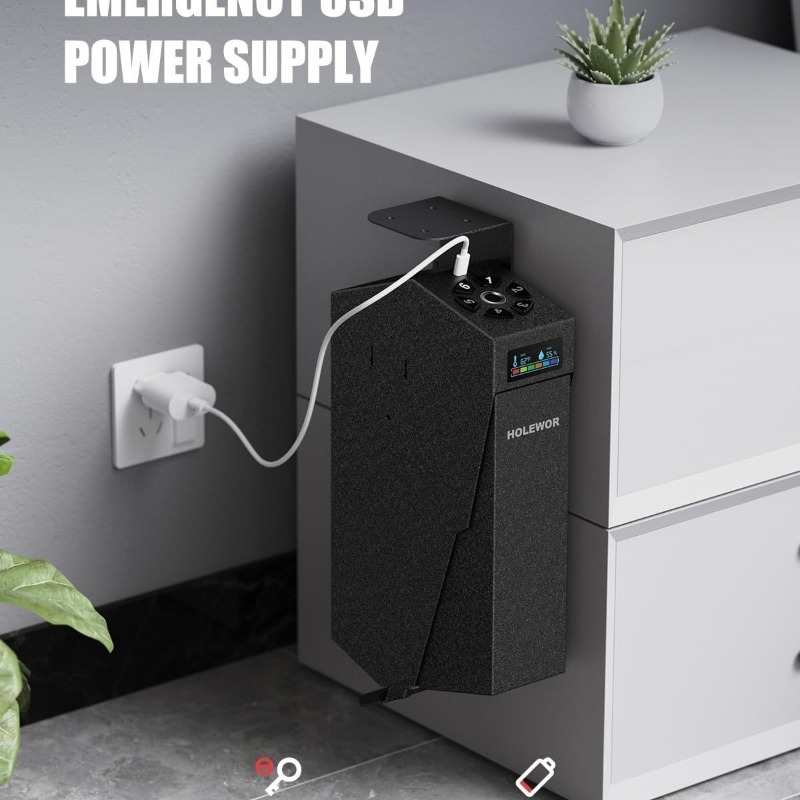 Smart Fingerprint Handgun Safe - Smart Home Box review and price