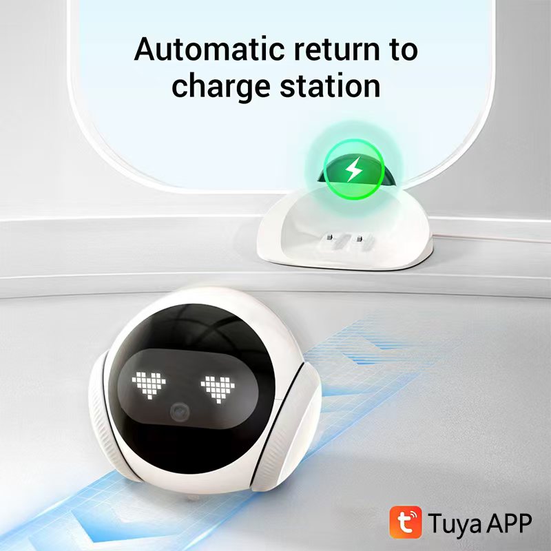 Smart Electronic Pet Companion - Smart Elderly Home review and price